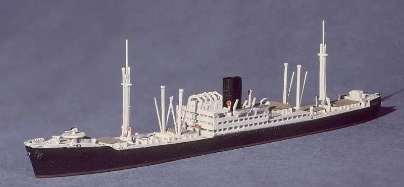 Kormoran